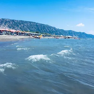 Celaj , Velipojë Albanien